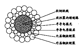 W7BPP-12.04mmоԾ۱ϩԵ˫˿װк̽