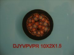 计算机电缆DJYVPVPR-10*2*1.5
