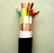BPGG,BPYJVPP2变频器专用电缆