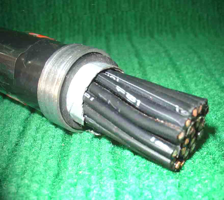 额定电压450/750V交联聚烯烃绝缘控制电缆(含阻燃电缆)