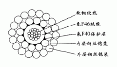 WGSF46-5.60mm单芯氟塑料F46绝缘F40护套双钢丝铠装承荷探测电缆