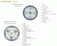 聚乙烯绝缘钢丝铠装计算机电缆