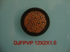 DJFPVP 12*2*1.0 计算机屏蔽耐高温电缆
