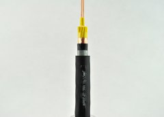 KVVP2-22铜带屏蔽钢带铠装控制电缆