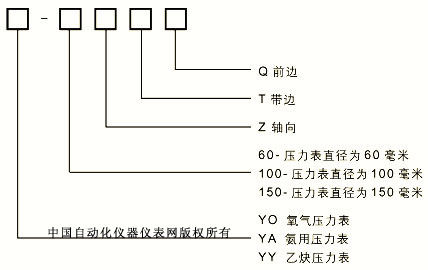YO/YA/YY特种压力表