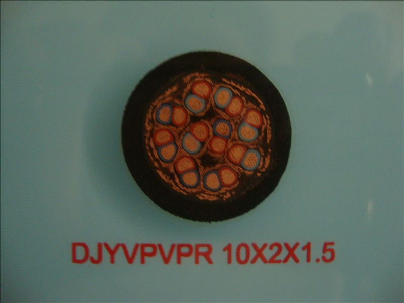 低烟无卤阻燃计算机电缆WDZ-DJYPYPR